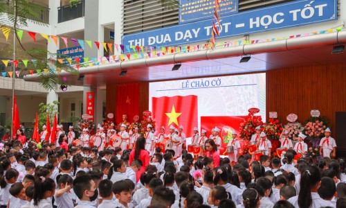 海葵是什么？